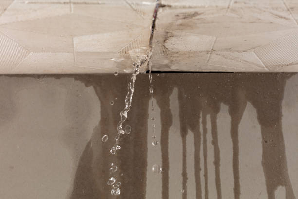 Professional Structural Drying technician working in Langston, OK